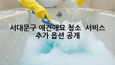 서대문구 애견/애묘 청소 🐾 서비스 추가 옵션 공개!